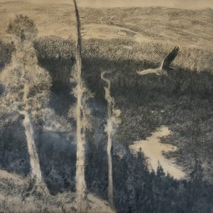 Halfdan Gran kullegning - "Rovfugl i flukt"